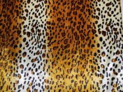 Pannesamt Leopardenfell